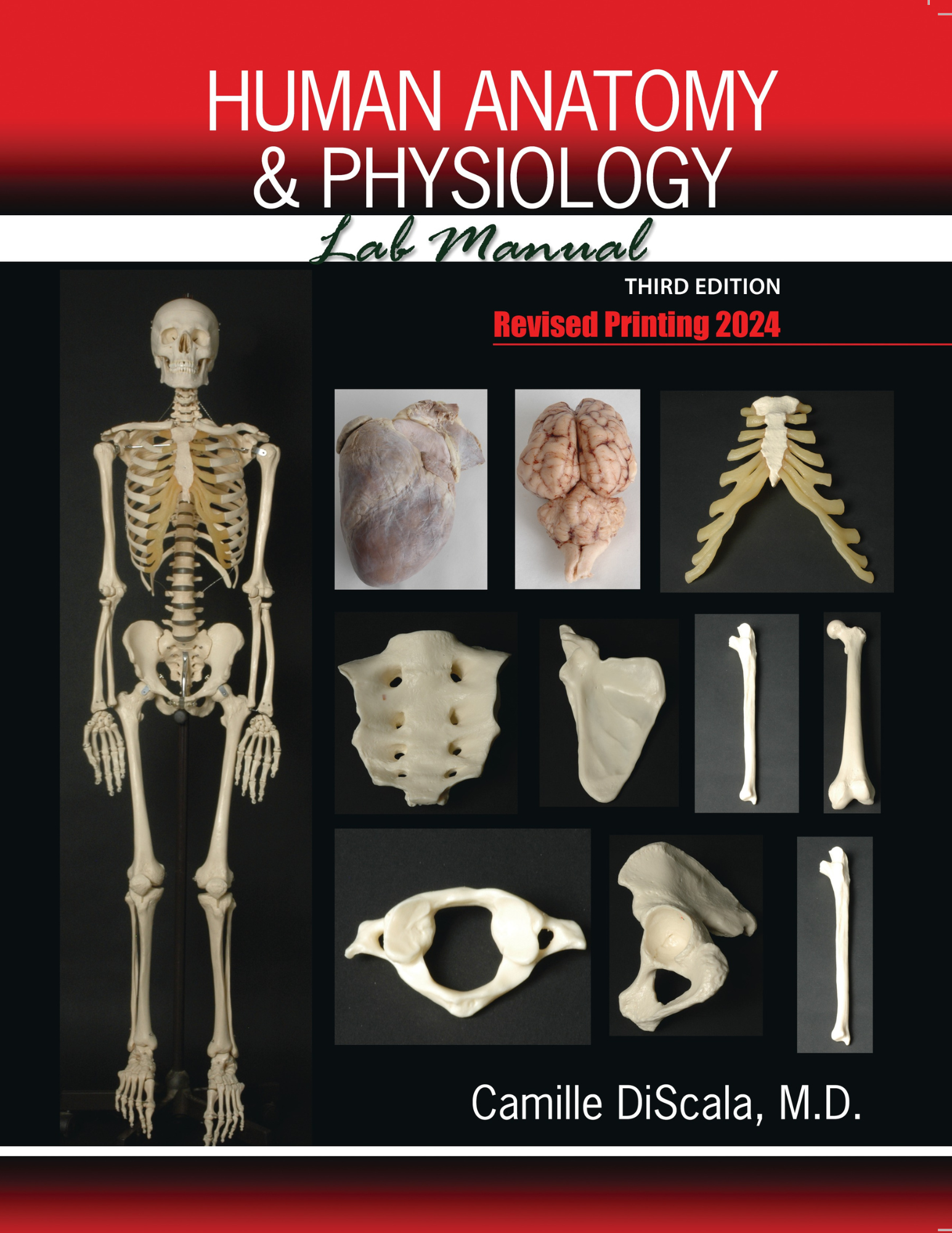 Human Anatomy and Physiology Lab Manual | Higher Education